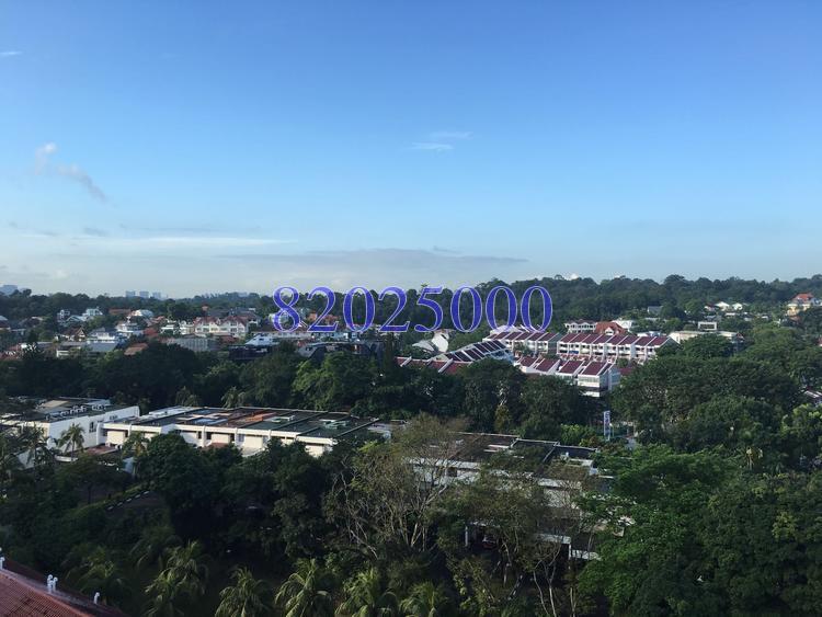 Blk 453 Sin Ming Avenue (Bishan), HDB 5 Rooms #152631422
